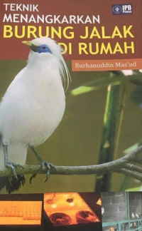 Teknik menangkarkan burung jalak di rumah