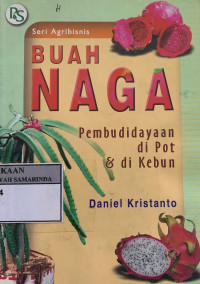 Buah naga pembudidayaan di potdan di kebun