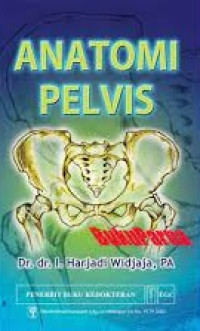 Anatomi pelvis