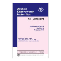 Asuhan keperawatan maternitas: antepartum: diagnosis nanda-I, hasil NOC, tindakan NIC