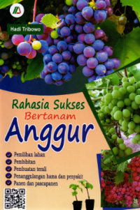 Rahasia sukses bertanam anggur