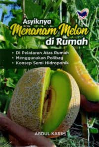 Asyoknya menanam melon di rumah