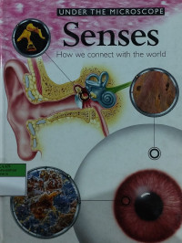 Under the microscope senses : how we connect with the world