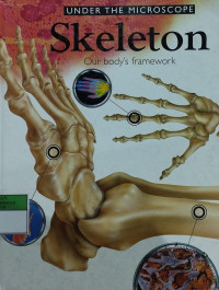 Under the microscope skeleton : our body's framework